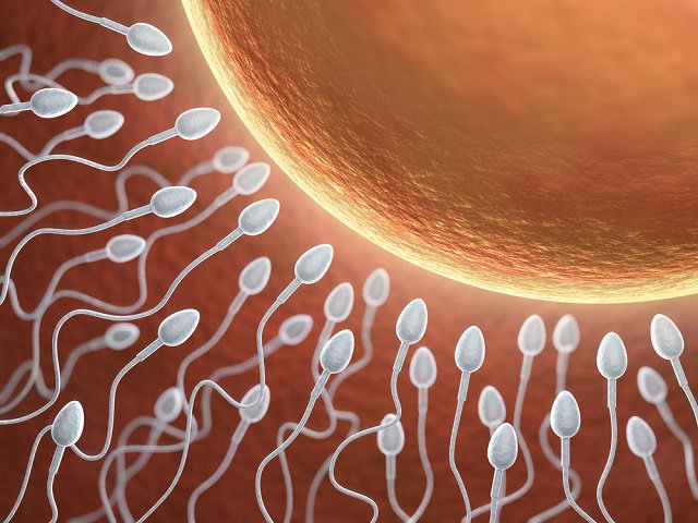 Что влияет на сперму