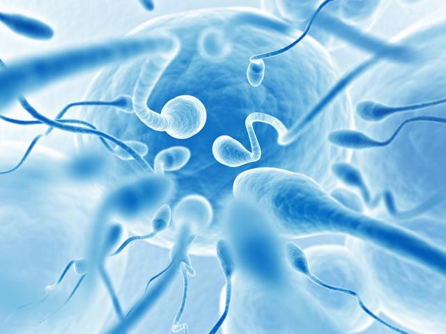 нарушения сперматогенеза