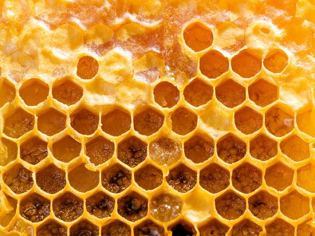 Пчелиное смолистое вещество