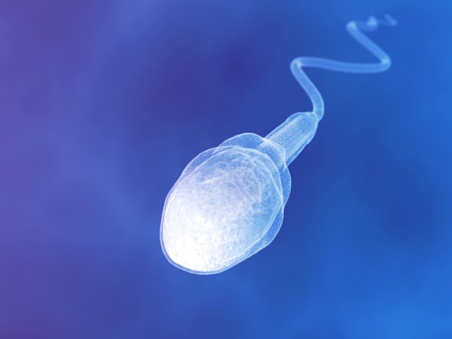 Вялый сперматозоид
