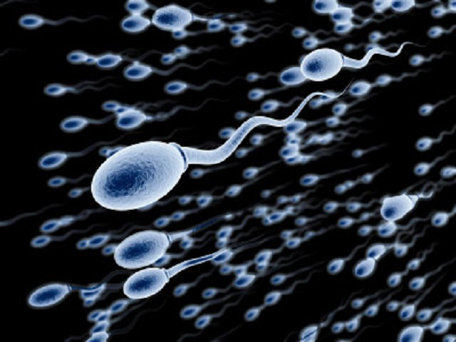 Некачественные сперматозоиды