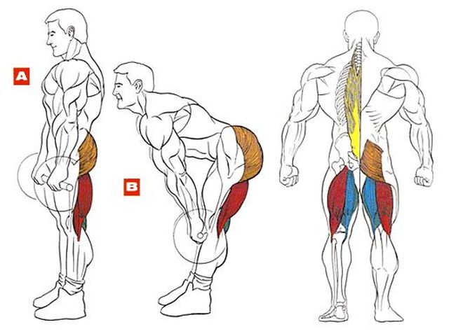 Румынская тяга для развития мышц ног