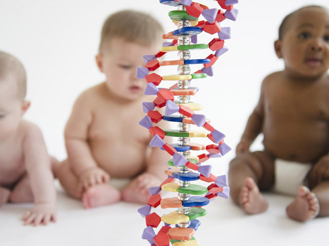 Генетика человека 