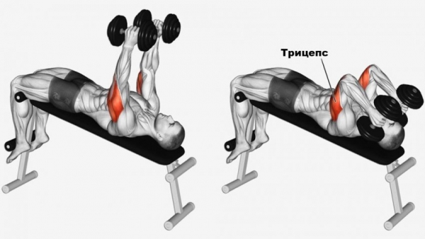 Французский жим лежа с гантелями Французский жим лежа с гантелями
