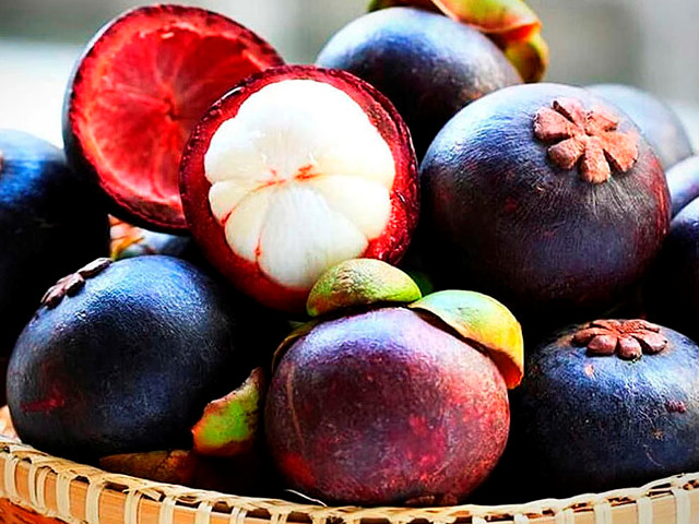 Фиолетовые плоды 